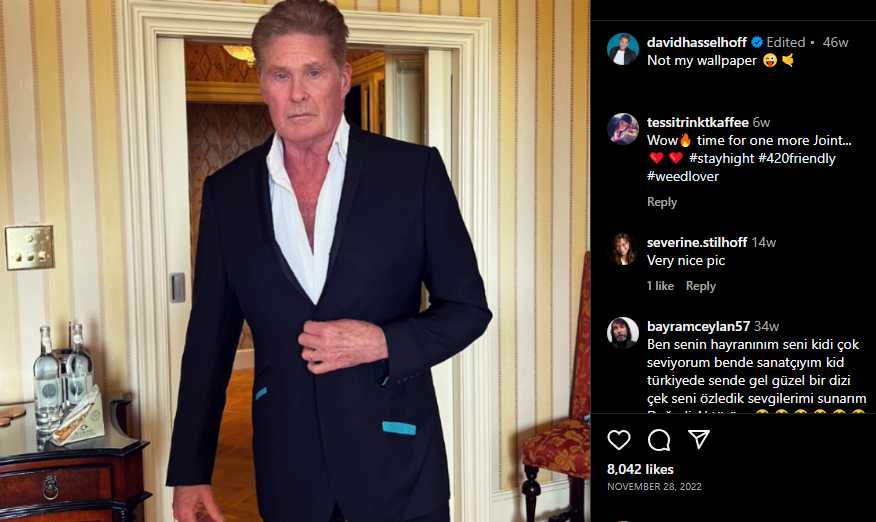 David Hasselhoff Vermögen, Größe, Kinder, Alter, Partner, Eltern David Hasselhoff Vermögen, Größe, Kinder, Alter, Partner, Eltern